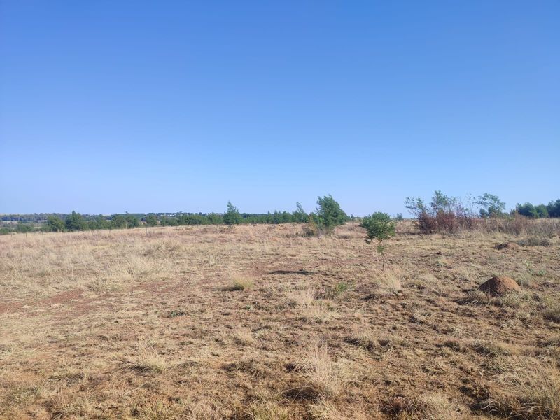 A wide-angle view of a vacant residential plot featuring dry grass, scattered small trees, and perimeter wire fencing under a clear blue sky.