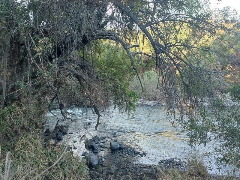 A scenic view of a natural river flowing through the property, surrounded by mature trees and native vegetation.
