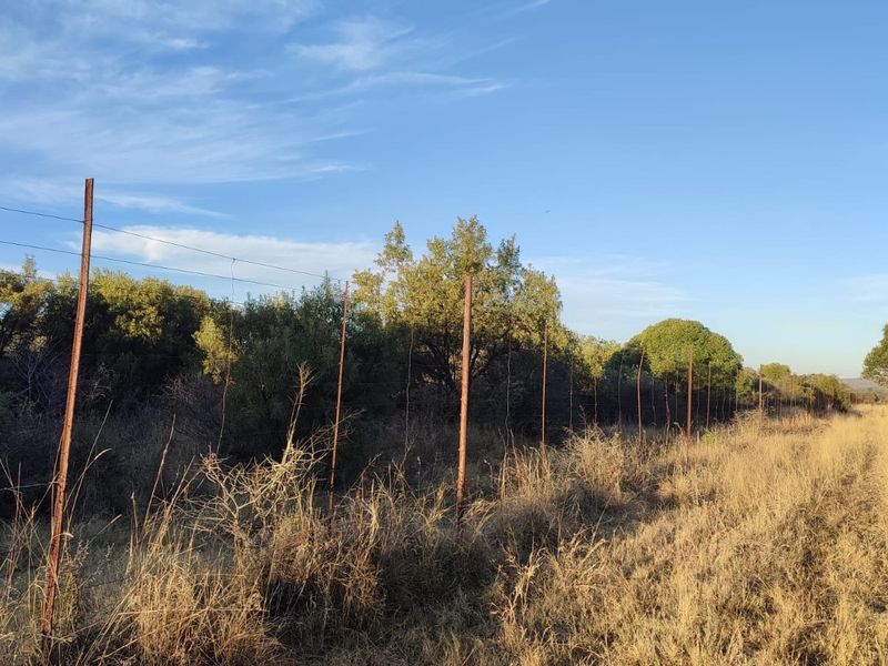A view of the farm landscape featuring wire fencing with metal posts and natural, overgrown vegetation under a clear blue sky.