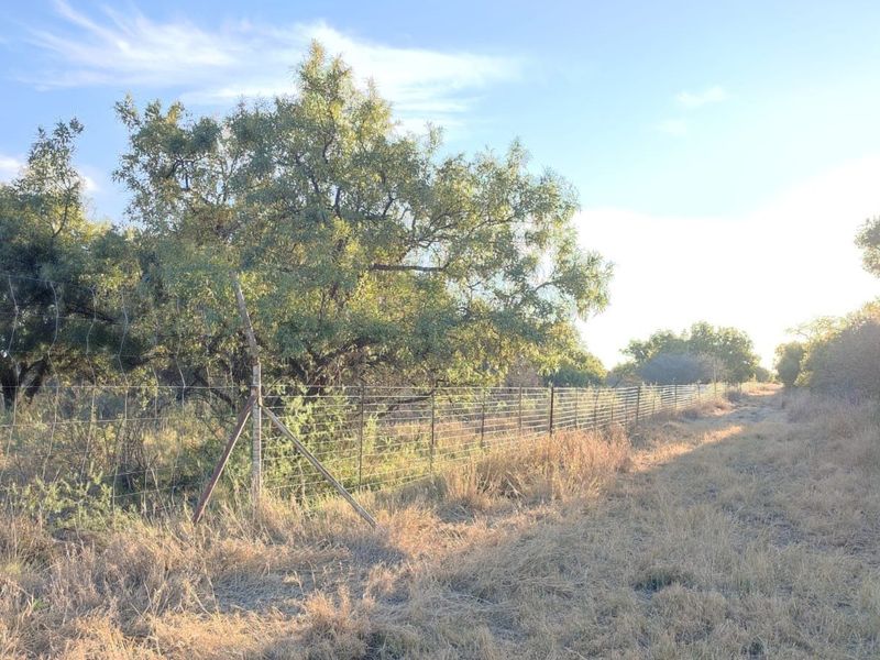 A view of the farm property boundary featuring wire mesh fencing and established trees along a dirt track.