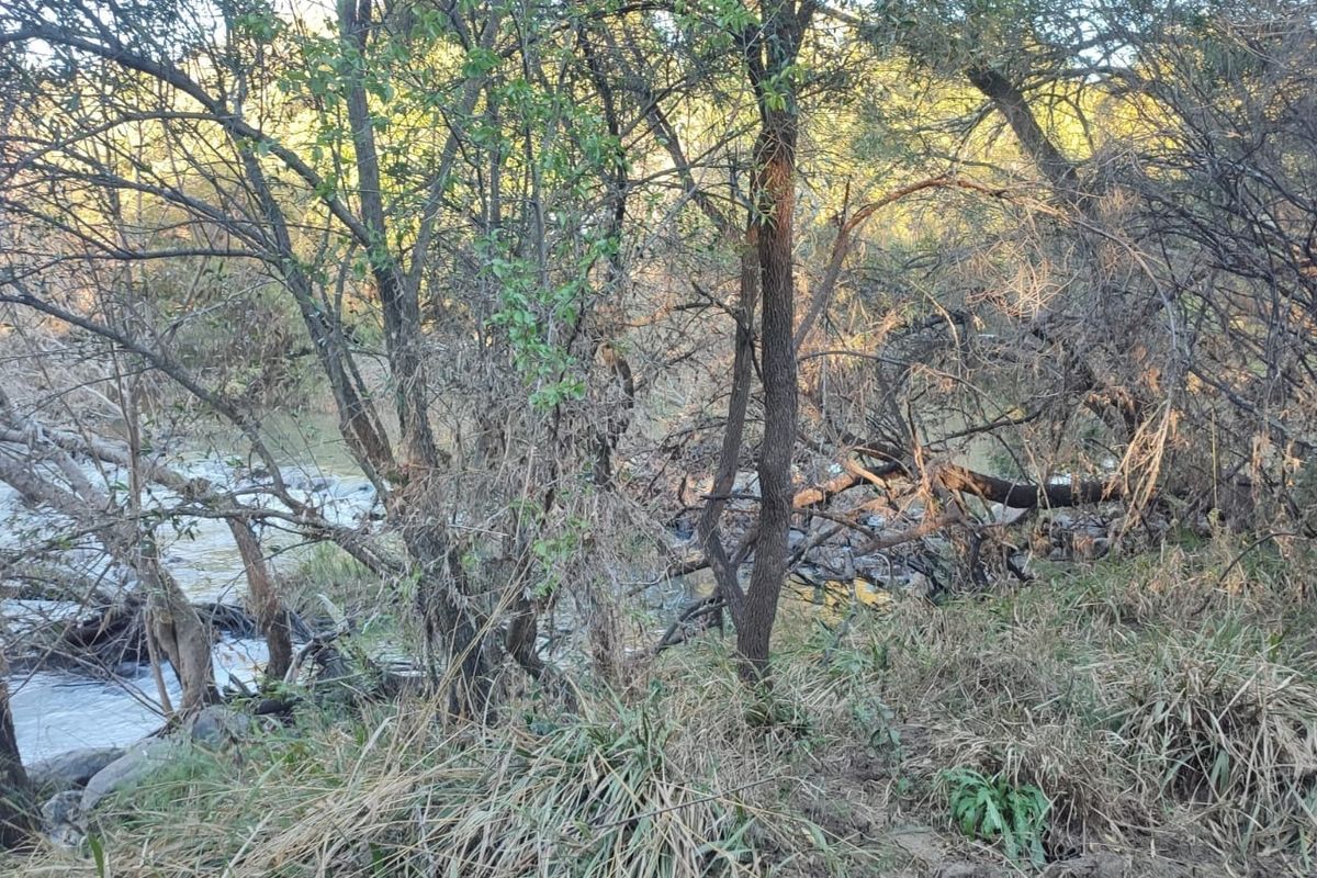 A natural view of a flowing river bordered by dense indigenous trees and riparian vegetation on the farm property.