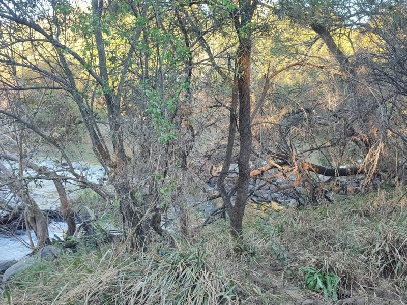 A natural view of a flowing river bordered by dense indigenous trees and riparian vegetation on the farm property.