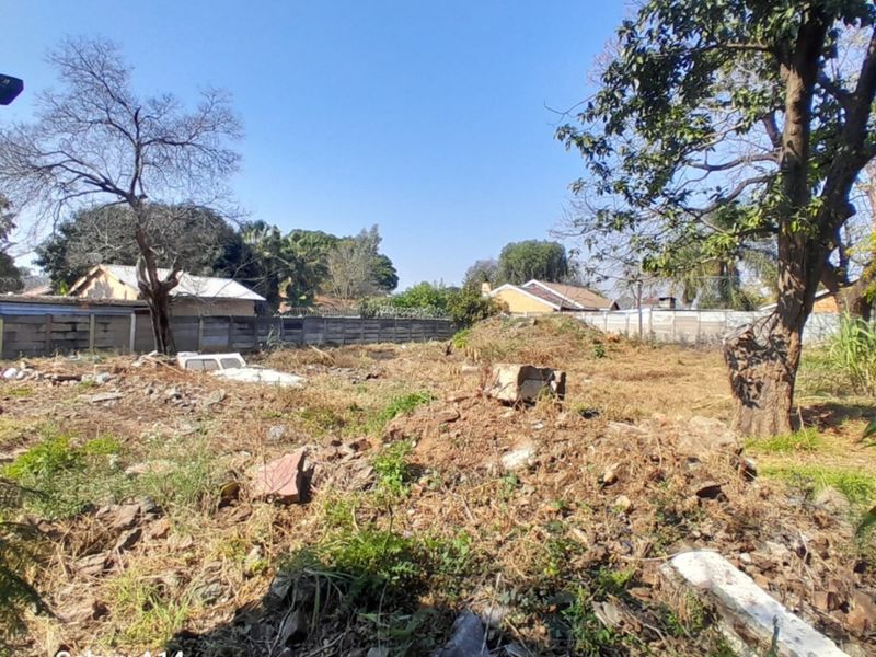 A vacant residential plot featuring mature trees and boundary walls, currently requiring significant clearing of debris and vegetation.