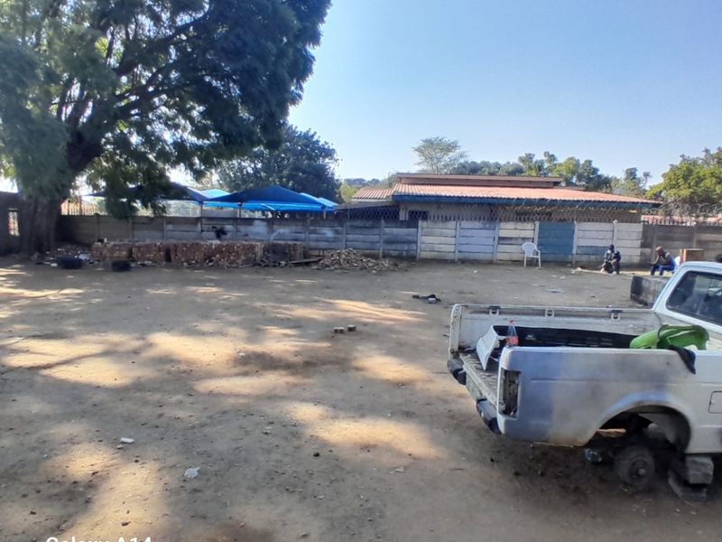 A view of a vacant residential plot featuring a perimeter wall and a large mature tree.