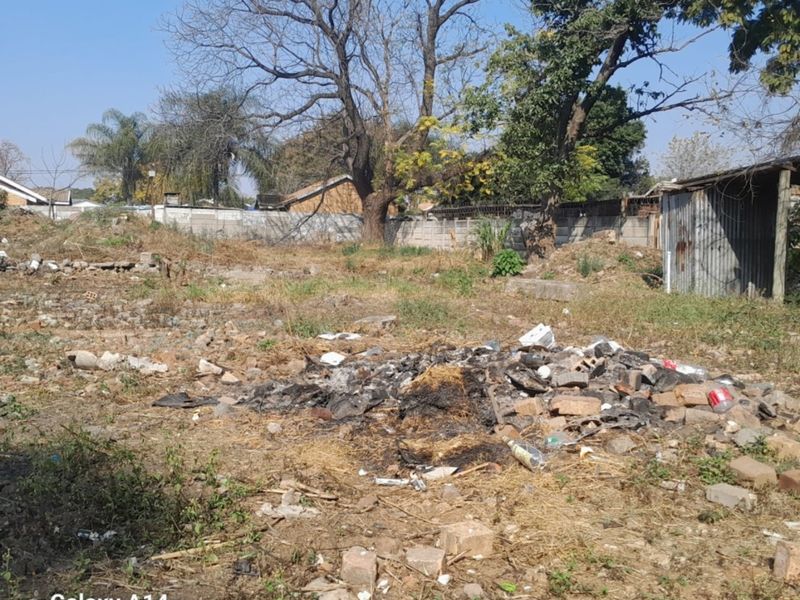 Vacant residential land featuring mature trees, a boundary wall, and a small corrugated metal shed, currently requiring significant site clearing and debris removal.