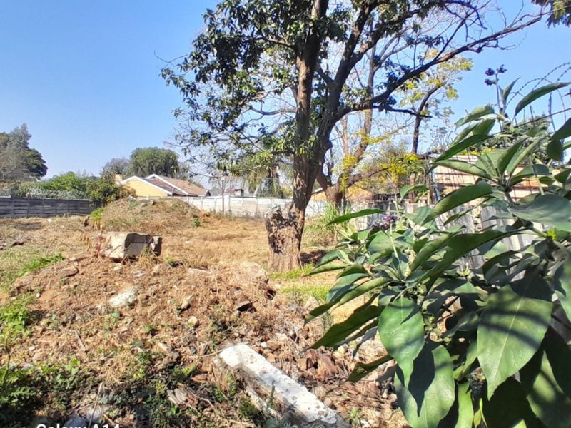A vacant residential plot featuring mature trees, perimeter walling, and overgrown vegetation, offering a blank canvas for future development.