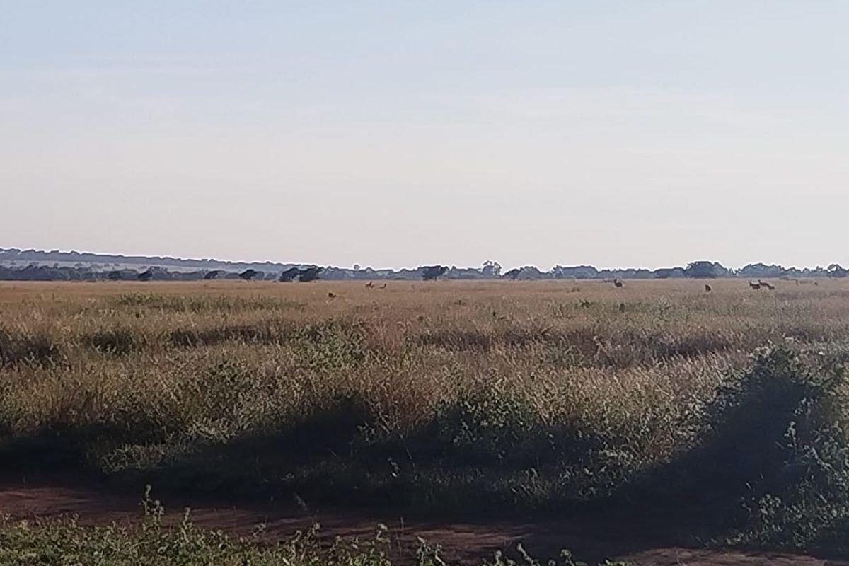 A wide, open landscape view of the vacant residential land, featuring natural grassland and distant horizon.