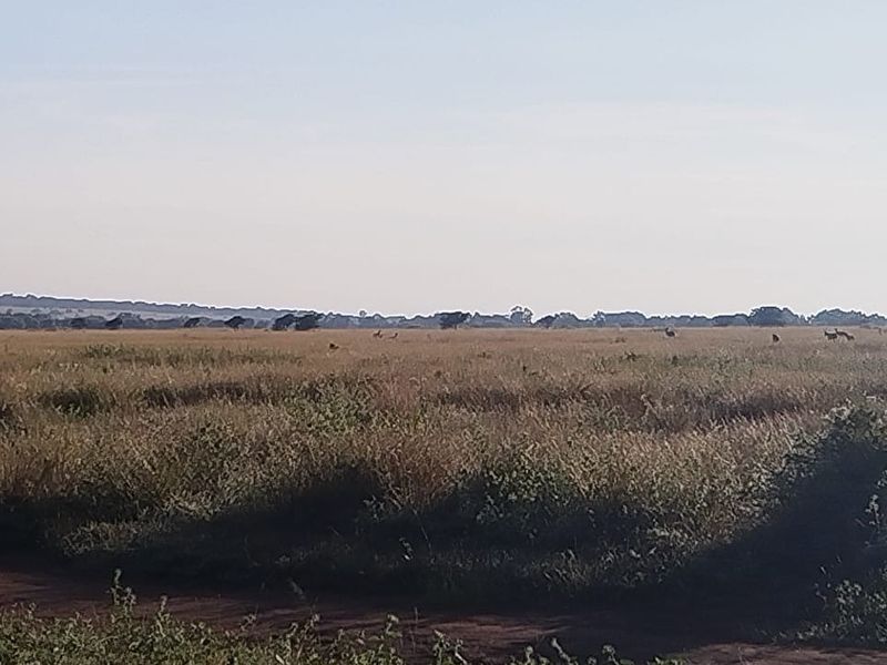 A wide, open landscape view of the vacant residential land, featuring natural grassland and distant horizon.