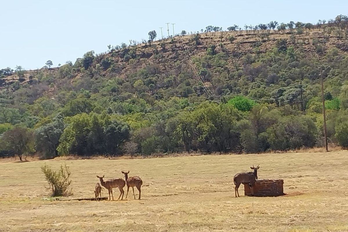 A scenic view of a natural landscape featuring open grassland, native vegetation, and a hillside backdrop on the vacant residential property.