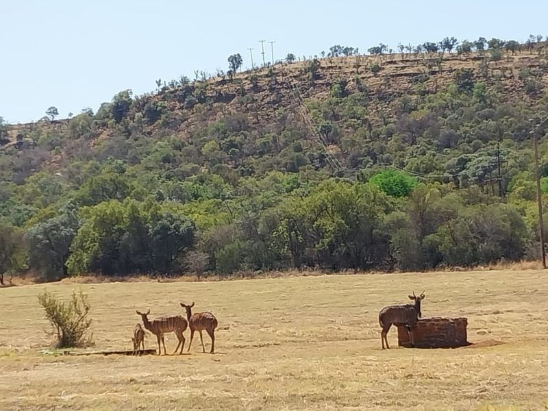 A scenic view of a natural landscape featuring open grassland, native vegetation, and a hillside backdrop on the vacant residential property.