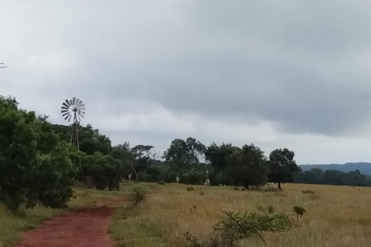 A scenic view of the vacant residential land featuring natural vegetation and a traditional windmill structure under a cloudy sky.
