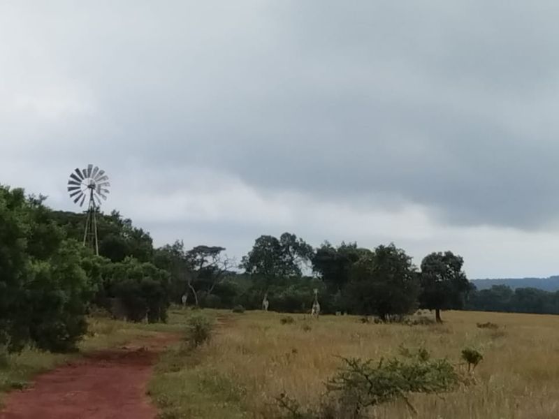 A scenic view of the vacant residential land featuring natural vegetation and a traditional windmill structure under a cloudy sky.