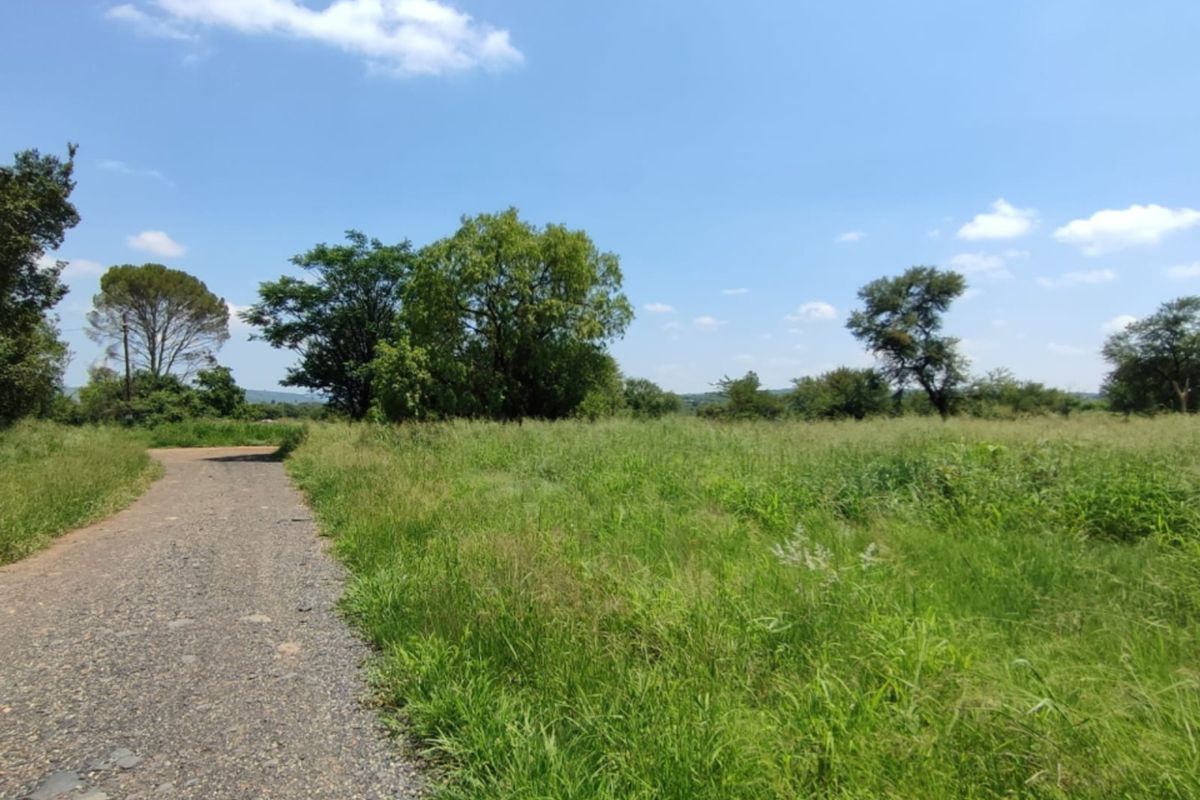 A view of a vacant residential plot featuring a gravel driveway, established trees, and open grassland under a clear sky.