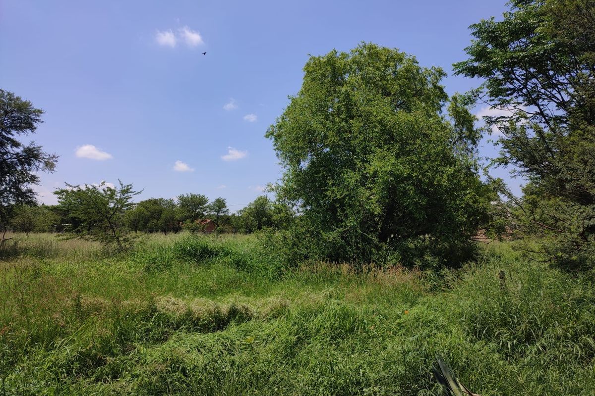 A view of a vacant residential plot featuring established trees and natural grassland vegetation.