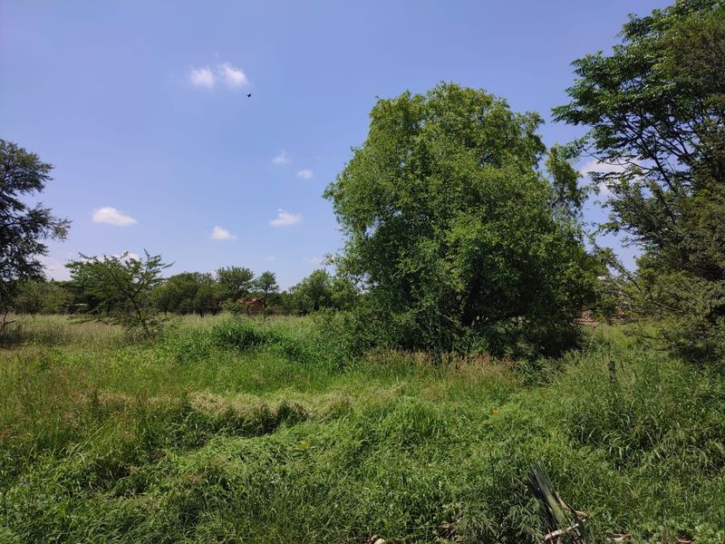 A view of a vacant residential plot featuring established trees and natural grassland vegetation.