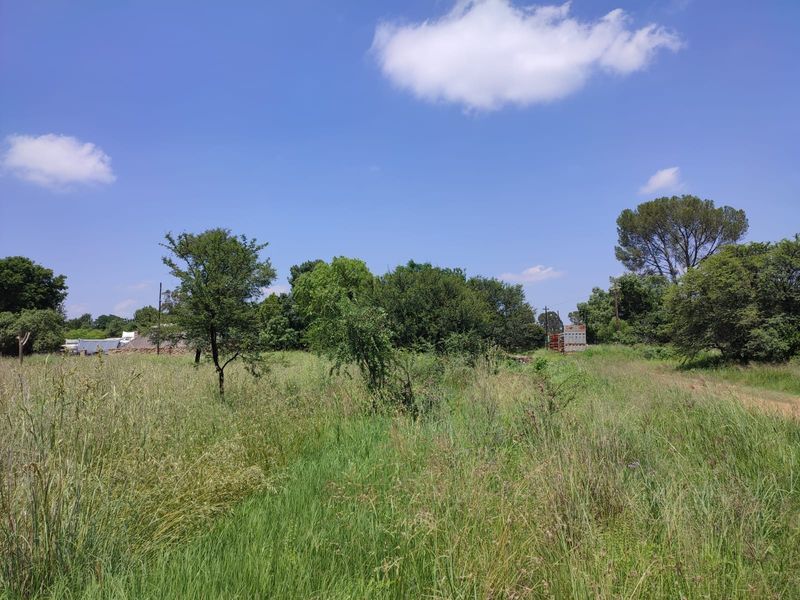 A view of a vacant residential plot featuring established trees and natural grassland, offering a blank canvas for future development.