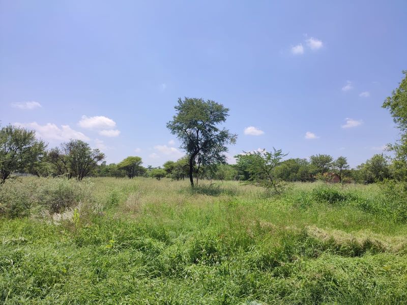 A view of a vacant residential plot featuring natural grassland and mature trees under a clear blue sky.