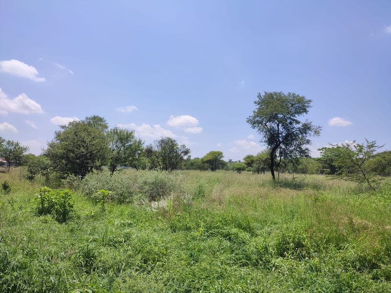 A view of a vacant residential plot featuring natural grassland and mature native trees under a clear blue sky.