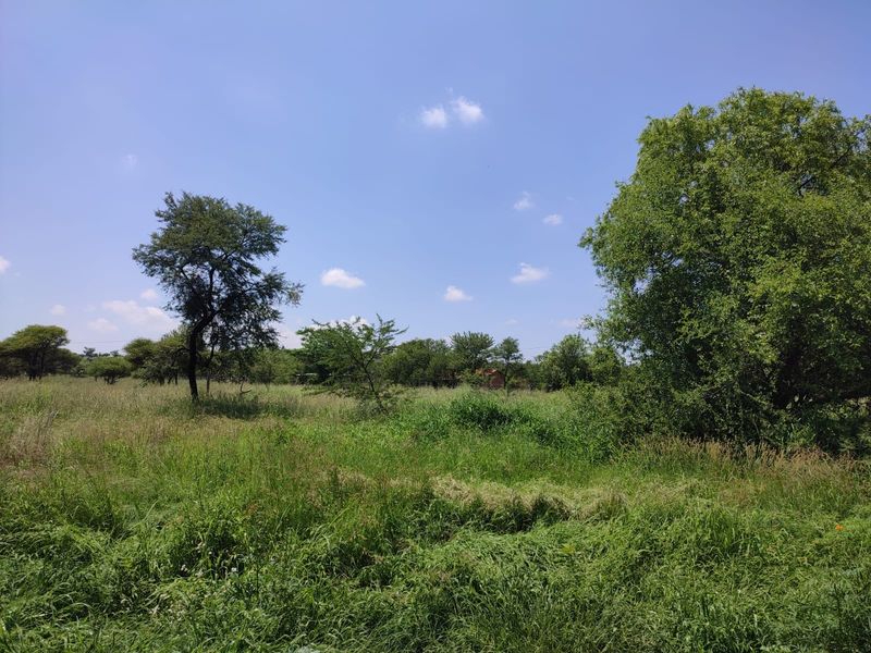 A view of a vacant residential plot featuring natural grassland and mature trees under a clear blue sky.