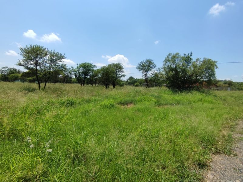 A view of a vacant residential plot featuring natural grassland and mature trees, offering a blank canvas for future development.