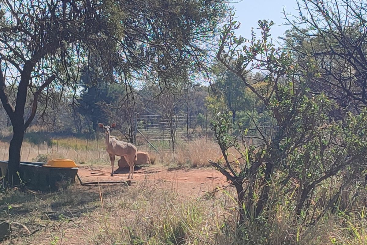A view of the farm grounds featuring natural vegetation, wire fencing, and a metal gate, showcasing the rural landscape.
