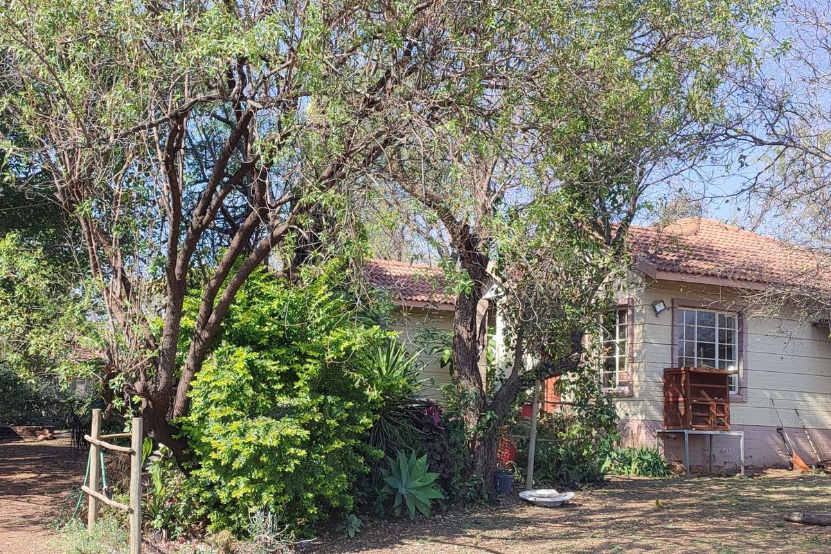 Rear view of a farm-style dwelling featuring tiled roofing and timber-framed windows, surrounded by mature trees and established garden landscaping.