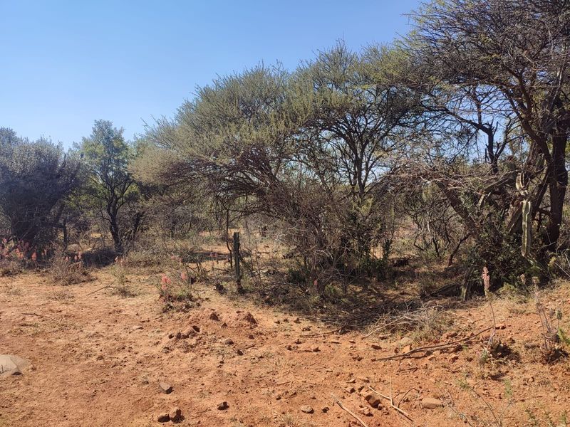 A view of the natural farm landscape featuring indigenous trees and native vegetation on the property grounds.