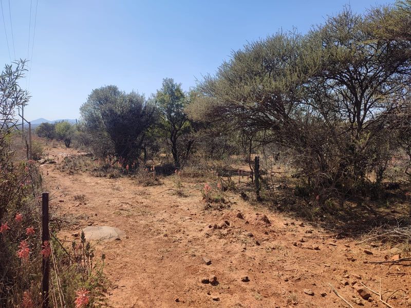 A view of the natural farm landscape featuring indigenous trees, shrubs, and a wire boundary fence.
