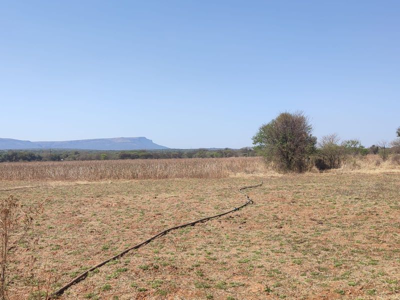 A wide-angle view of the farm landscape featuring open fields, natural vegetation, and distant mountain scenery.