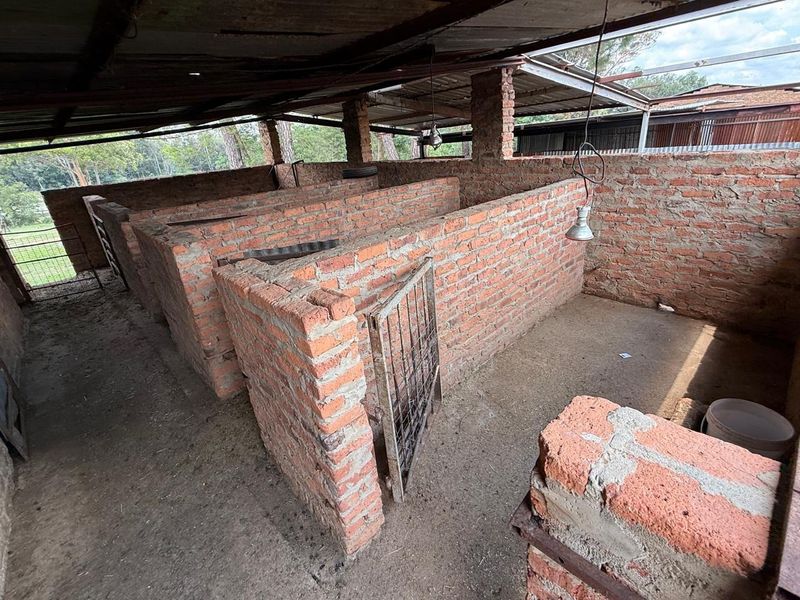 A functional farm utility space featuring multiple brick-walled pens, metal gates, and a corrugated roof structure, suitable for livestock or storage purposes.