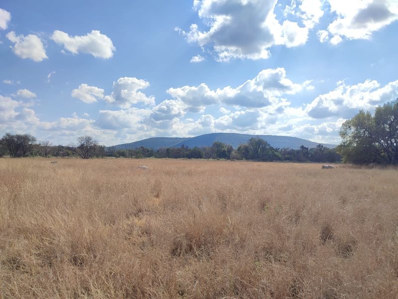 A scenic view of an expansive, undeveloped grassy field with a mountain range in the background under a bright, cloudy sky.