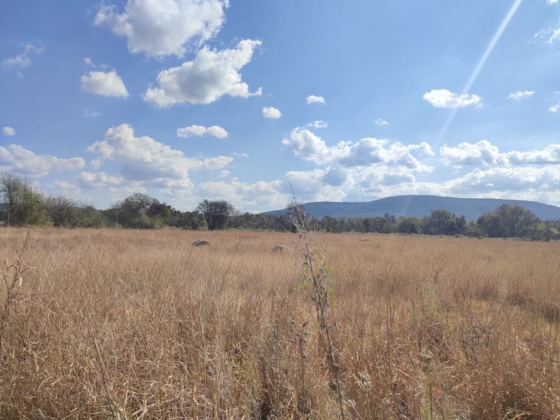 A scenic view of an expansive, undeveloped grassy field with a mountain range in the distance under a clear blue sky.