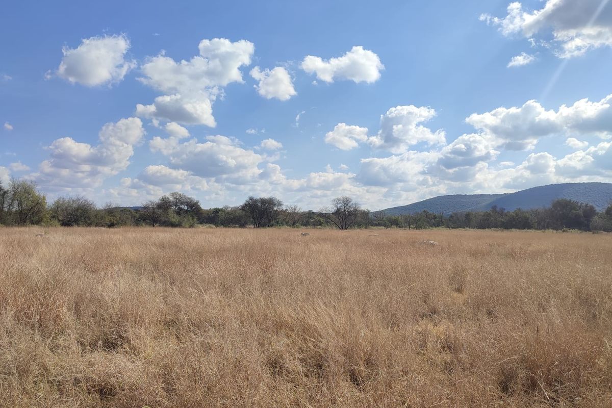 A wide-angle view of a vacant residential plot featuring natural grassland and scenic mountain views in the distance.
