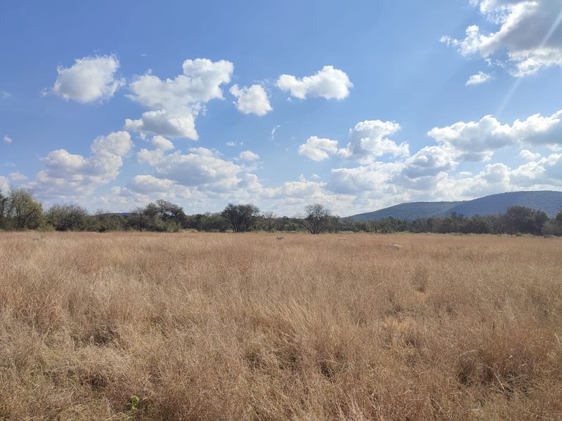 A wide-angle view of a vacant residential plot featuring natural grassland and scenic mountain views in the distance.