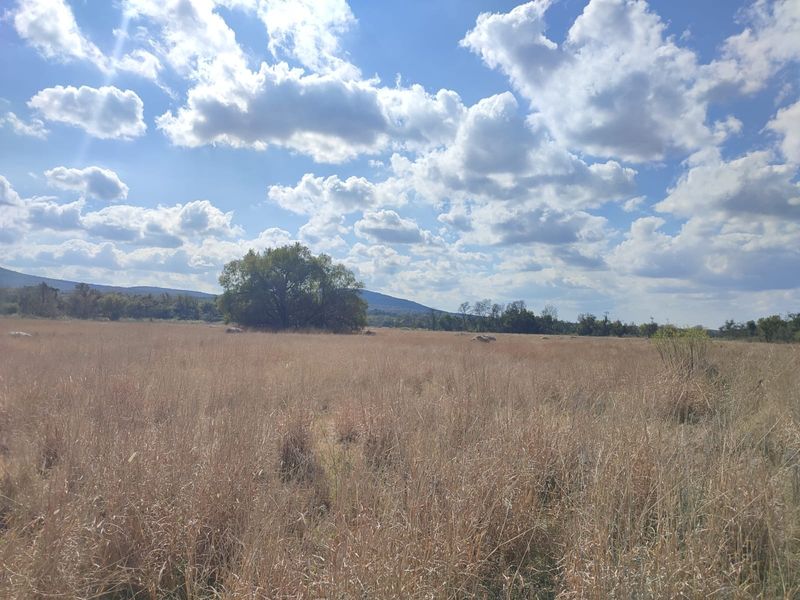 A scenic view of an expansive, undeveloped grassy field featuring mature trees and distant mountain ranges under a bright, cloudy sky.
