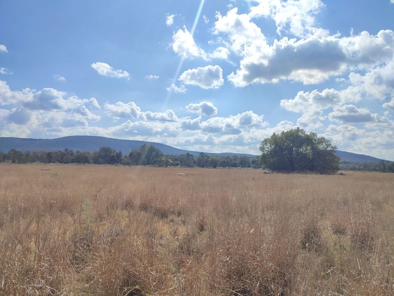 A scenic view of open grassland with mature trees and a mountain range in the background, showcasing the natural landscape of the property.