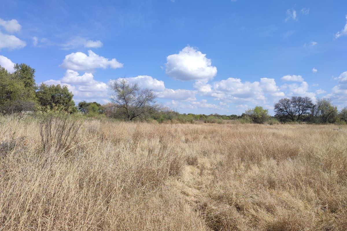 A view of an undeveloped residential plot featuring natural dry grass and scattered mature trees under a clear blue sky.