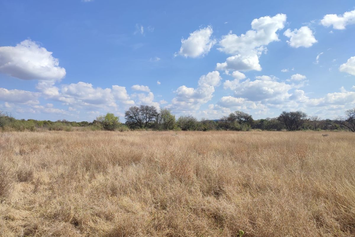 A wide-angle view of a vacant residential plot featuring natural grassland and mature trees under a clear blue sky.