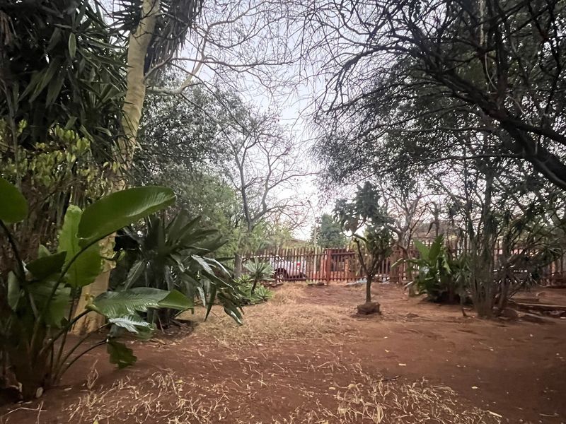 A spacious, mature garden area featuring established trees, shrubs, and wooden perimeter fencing, offering a private outdoor space with potential for landscaping.
