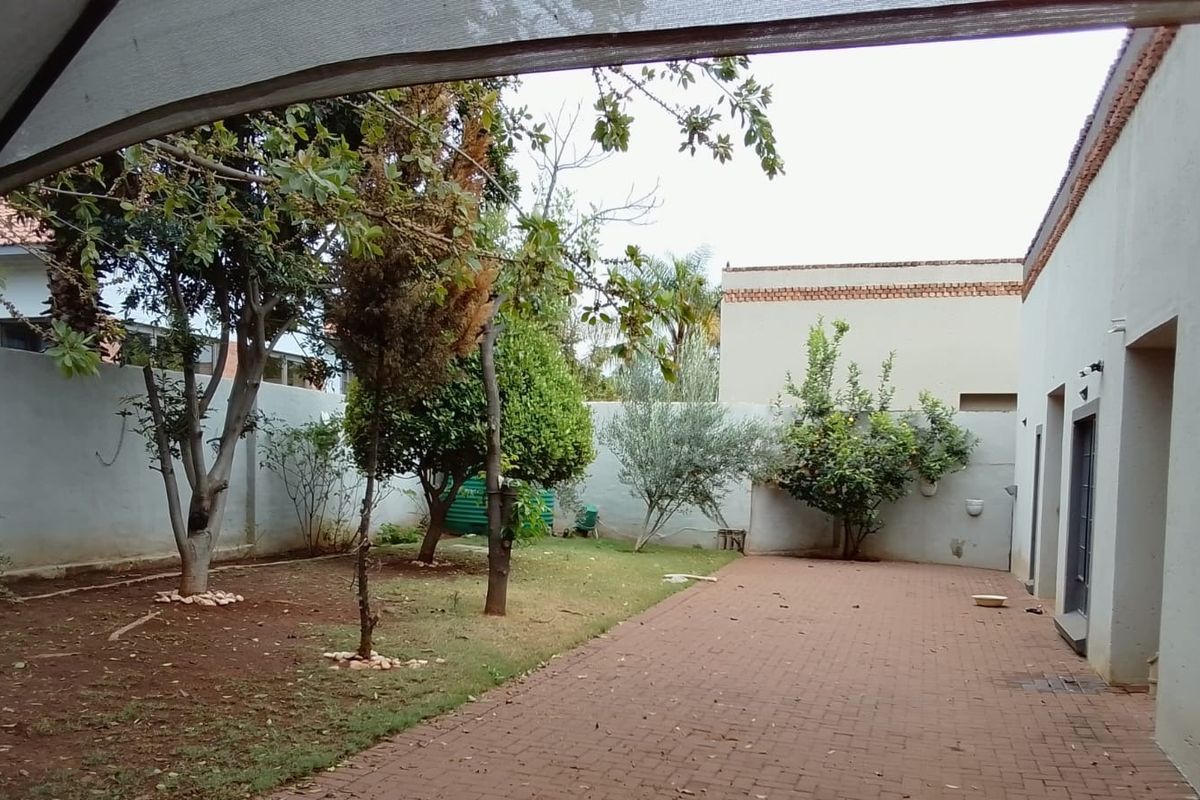 A private rear garden featuring a paved patio area, established trees, and perimeter boundary walls, offering potential for outdoor living and landscaping improvements.