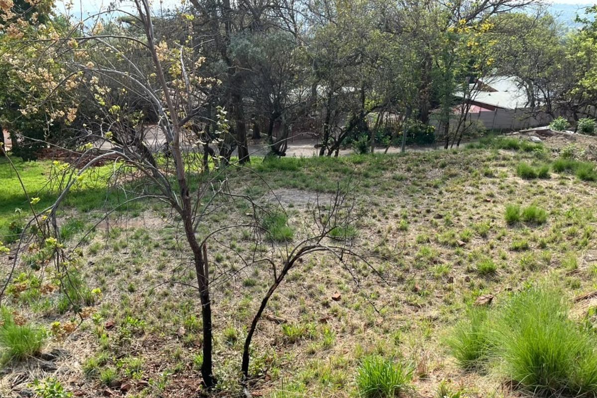 A view of a sloped, undeveloped residential plot featuring mature trees and natural vegetation.