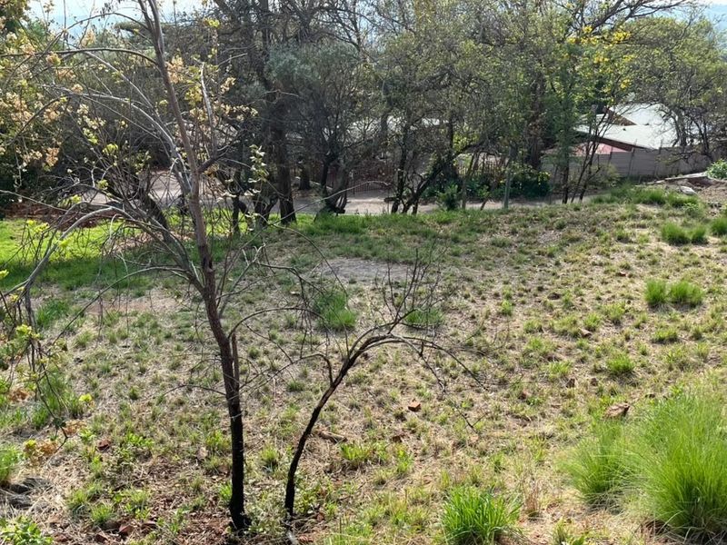A view of a sloped, undeveloped residential plot featuring mature trees and natural vegetation.