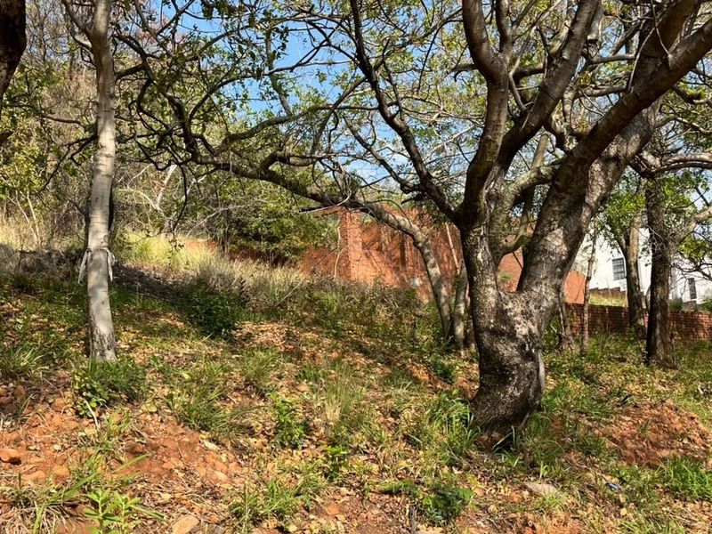 A sloped residential plot featuring mature trees and a brick retaining wall, offering natural landscaping potential for future development.