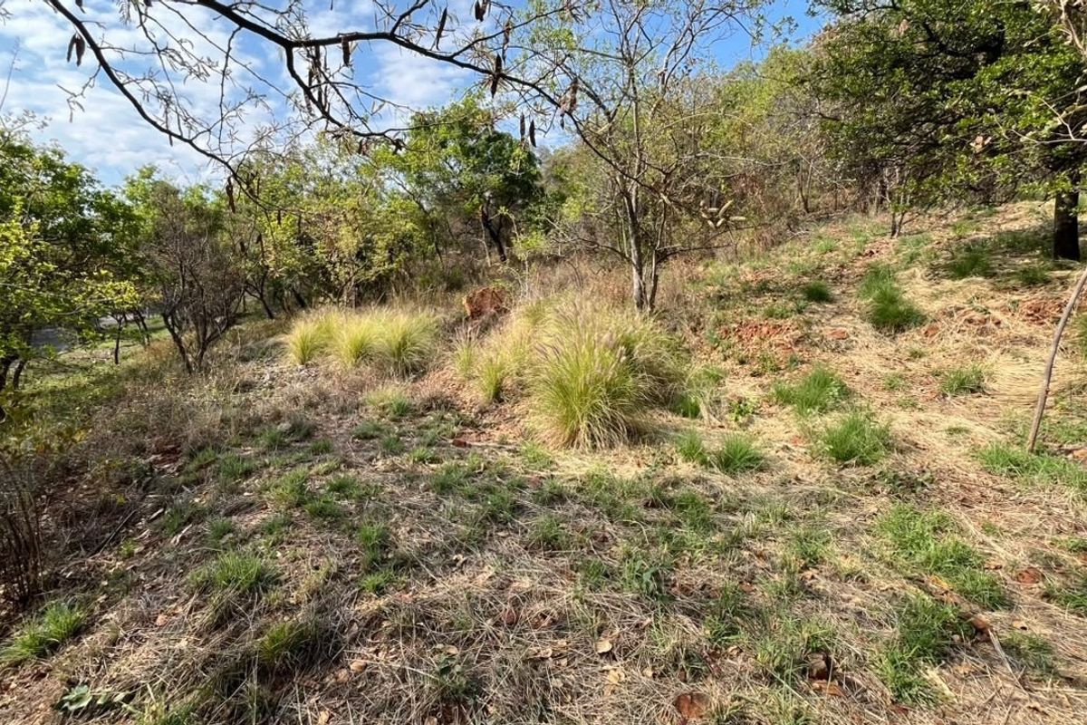 A view of the sloped, natural landscape featuring mature trees and native grasses on this vacant residential property.