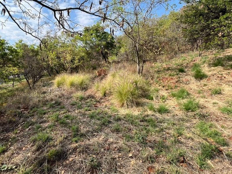 A view of the sloped, natural landscape featuring mature trees and native grasses on this vacant residential property.