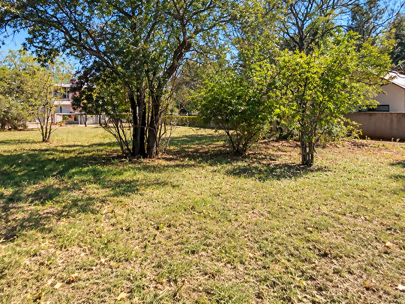 A spacious, level residential plot featuring established trees and a perimeter boundary wall, offering a blank canvas for future development.