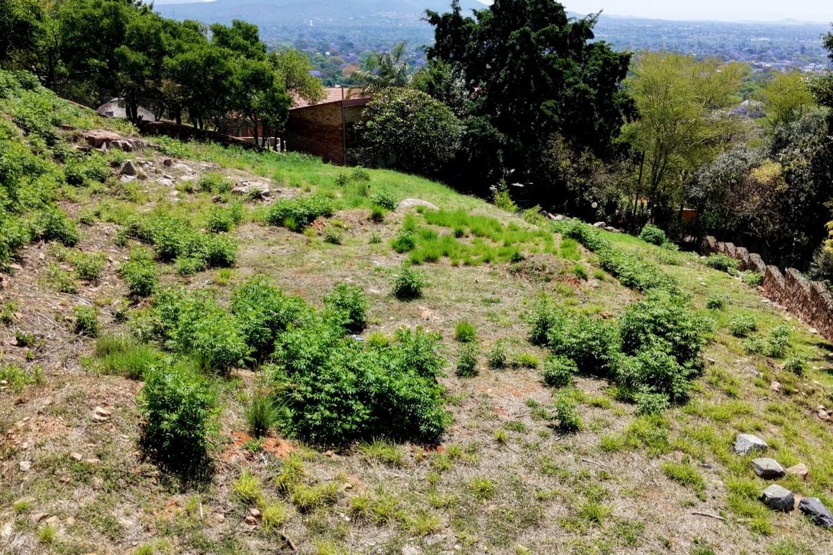 A sloped residential vacant land plot featuring natural vegetation and stone boundary walls with scenic elevated views.