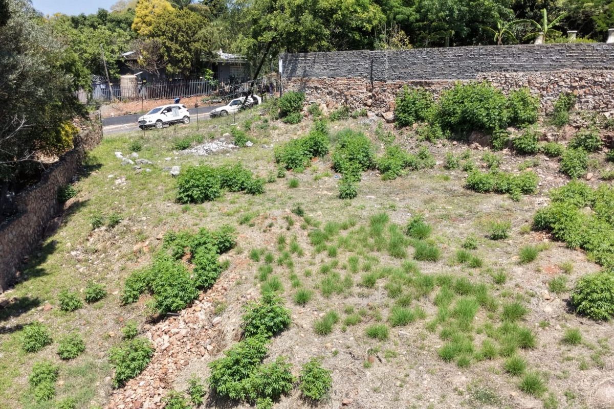 A vacant residential plot featuring natural terrain, established stone boundary walls, and mature surrounding greenery.