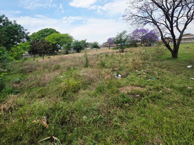 A vacant residential plot featuring natural grassland and mature trees, offering a blank canvas for future development.