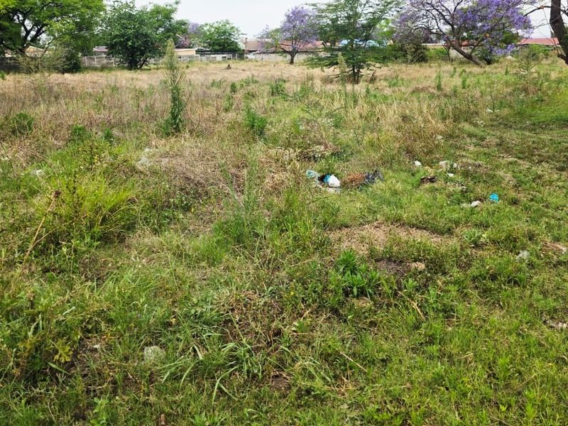 A view of a vacant residential plot featuring natural grassland and mature trees, requiring clearing and landscaping.